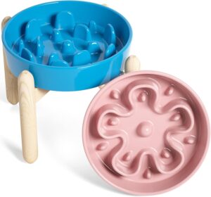 LE TAUCI Ceramic Slow Feeder Raised...
