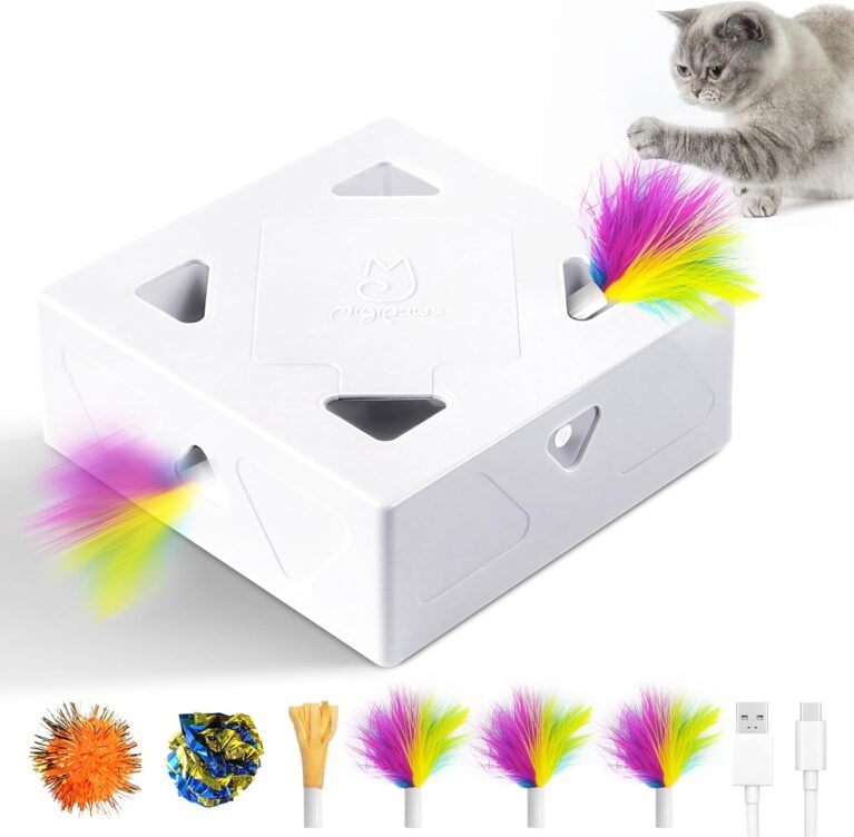 Interactive Cat Toys -Migibox for Indoor Bored Cats, Automatic Pop Out Feathers from 7 Holes Randomly, Motion Activated, USB Rechargeable (Purple Skin)