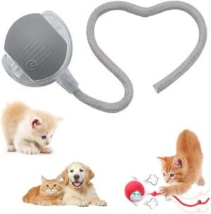 Interactive Pet Toy Ball, 2026 Auto...