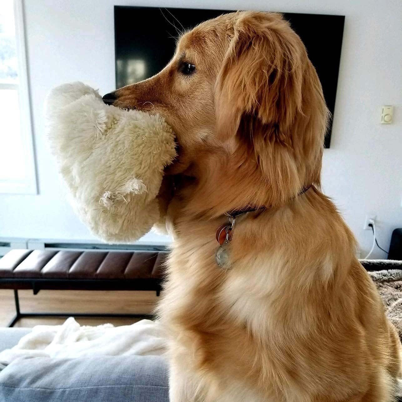 Snuggle Puppy Heartbeat Toy, Calming Comfort, Medium Breeds - Cream - Image 2