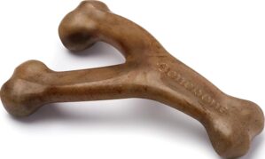 Benebone Wishbone Durable Dog Chew ...