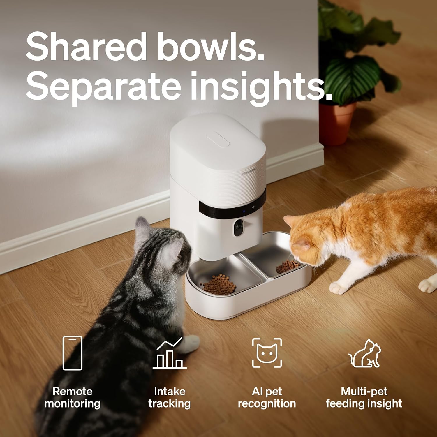 PETLIBRO Automatic Cat Feeder for 2 Cats, AI Recognition Camera Intake Log - Image 2