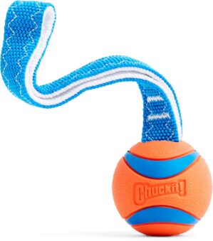 Chuckit! Ultra Tug Dog Toy, Medium,...