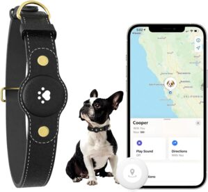 GPS Tracker for Dogs – Smart Dog ...