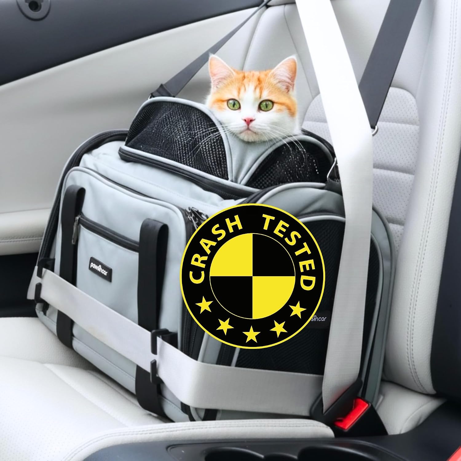 Crash-Tested Top Side Expandable Cat Carrier for Crash Protection