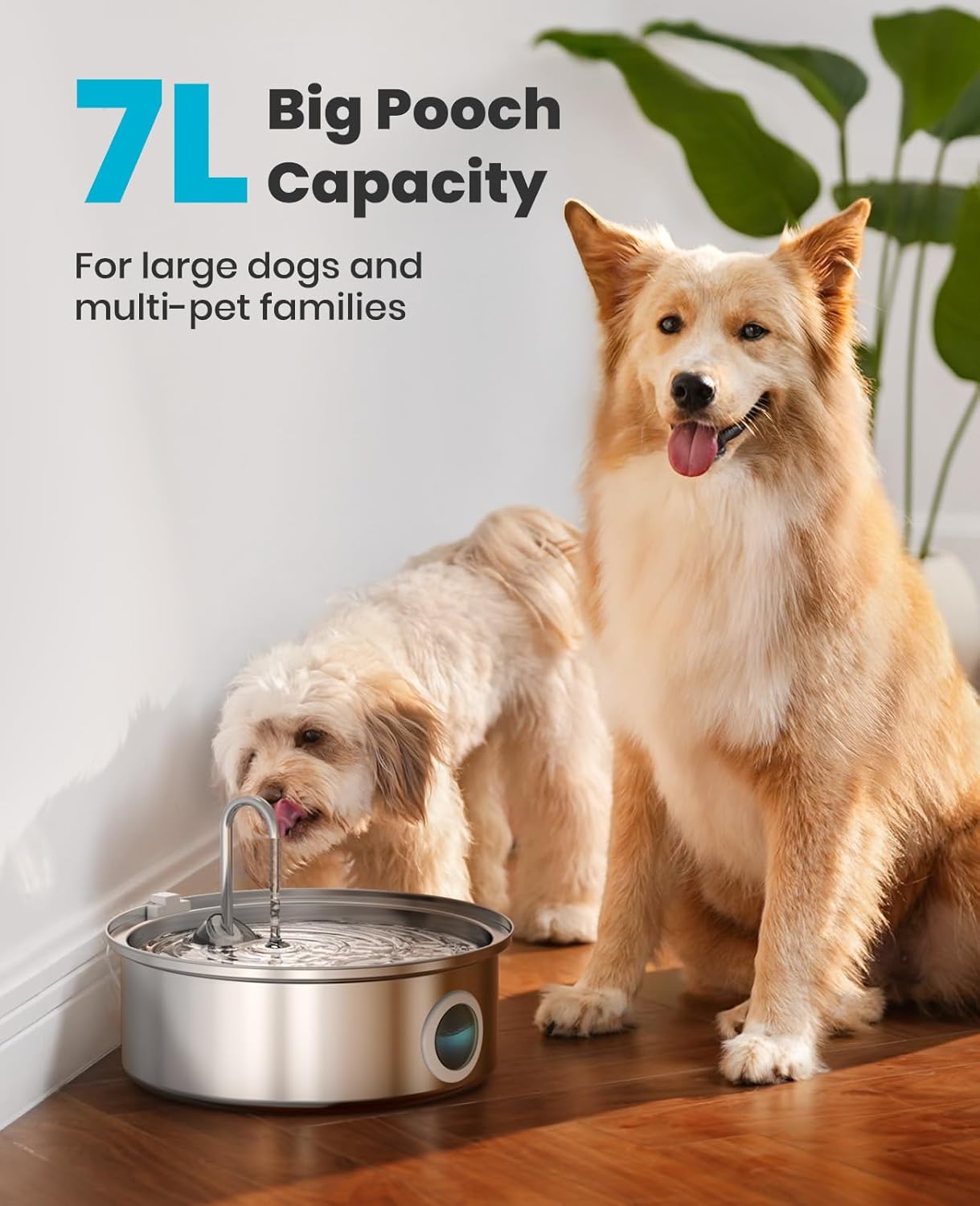 oneisall 7L/230oz Dog Water Fountain for Multi-pet Household,PWF002 - Image 2