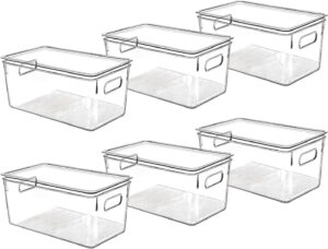 Clear Plastic Storage Bins with Lid...