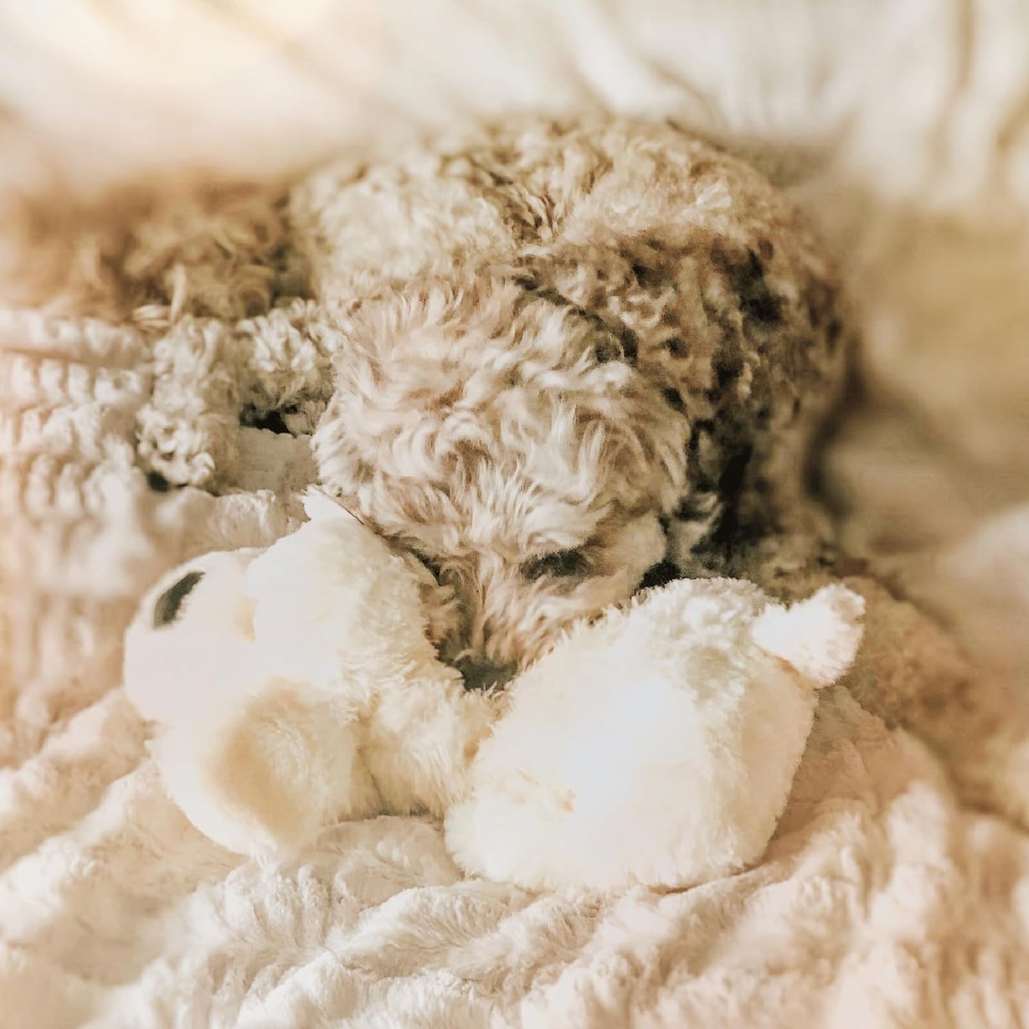Snuggle Puppy Heartbeat Toy, Calming Comfort, Medium Breeds - Cream - Image 7