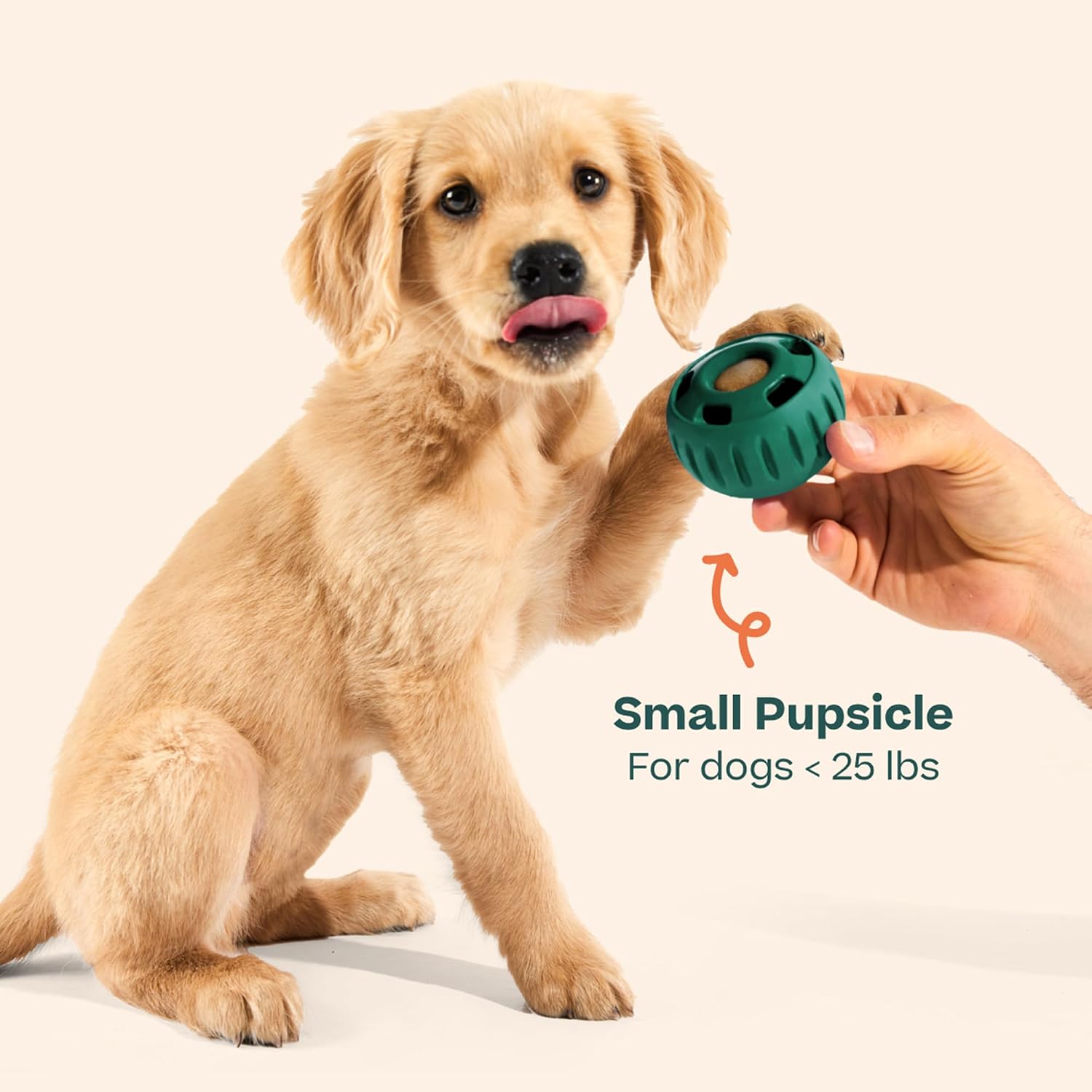 WOOF Pupsicle Interactive Dog Ball Toy for Dogs 25-75 lbs - Green - Image 9