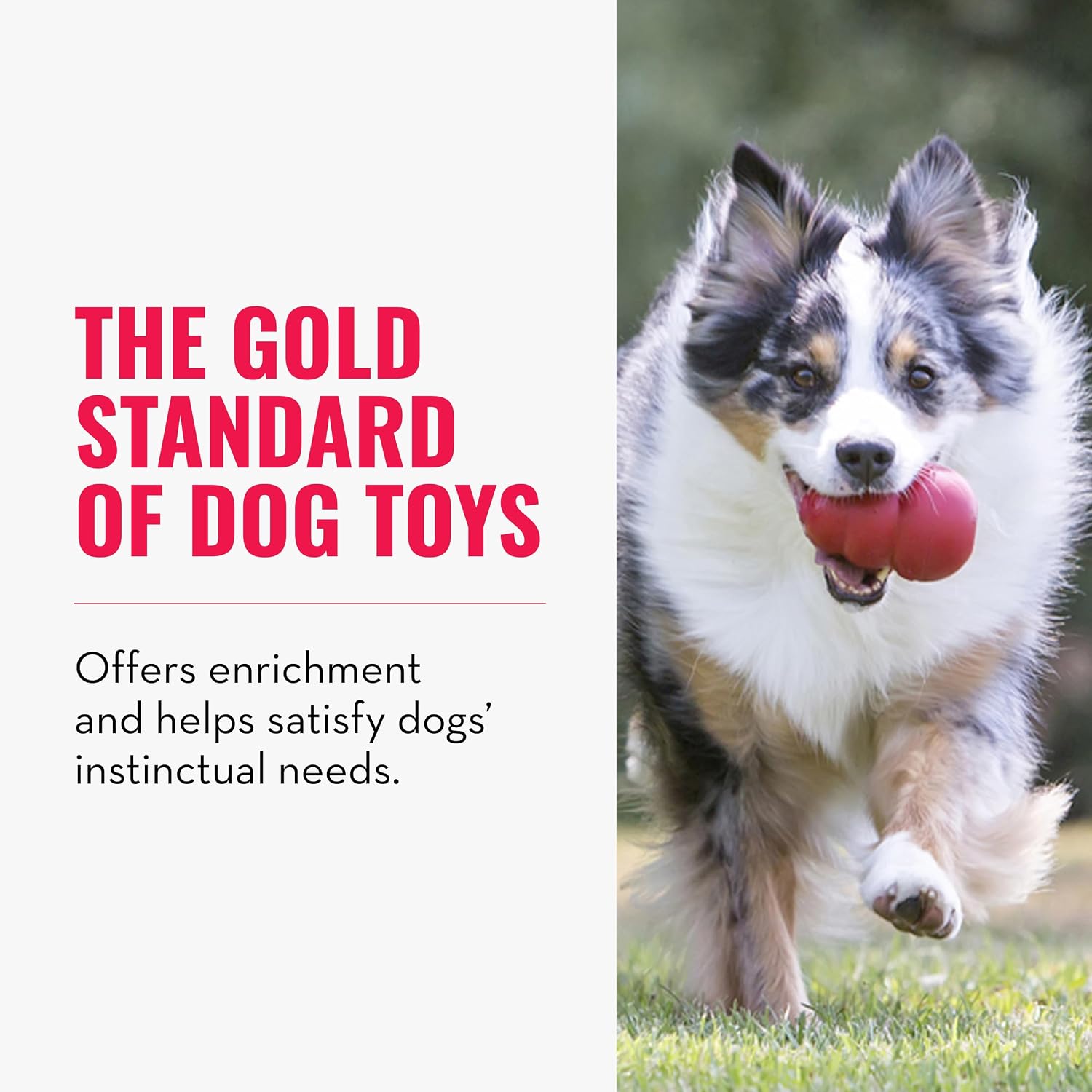 KONG Classic Stuffable Dog Toy, Natural Rubber Chew, for Large Dogs - Image 4