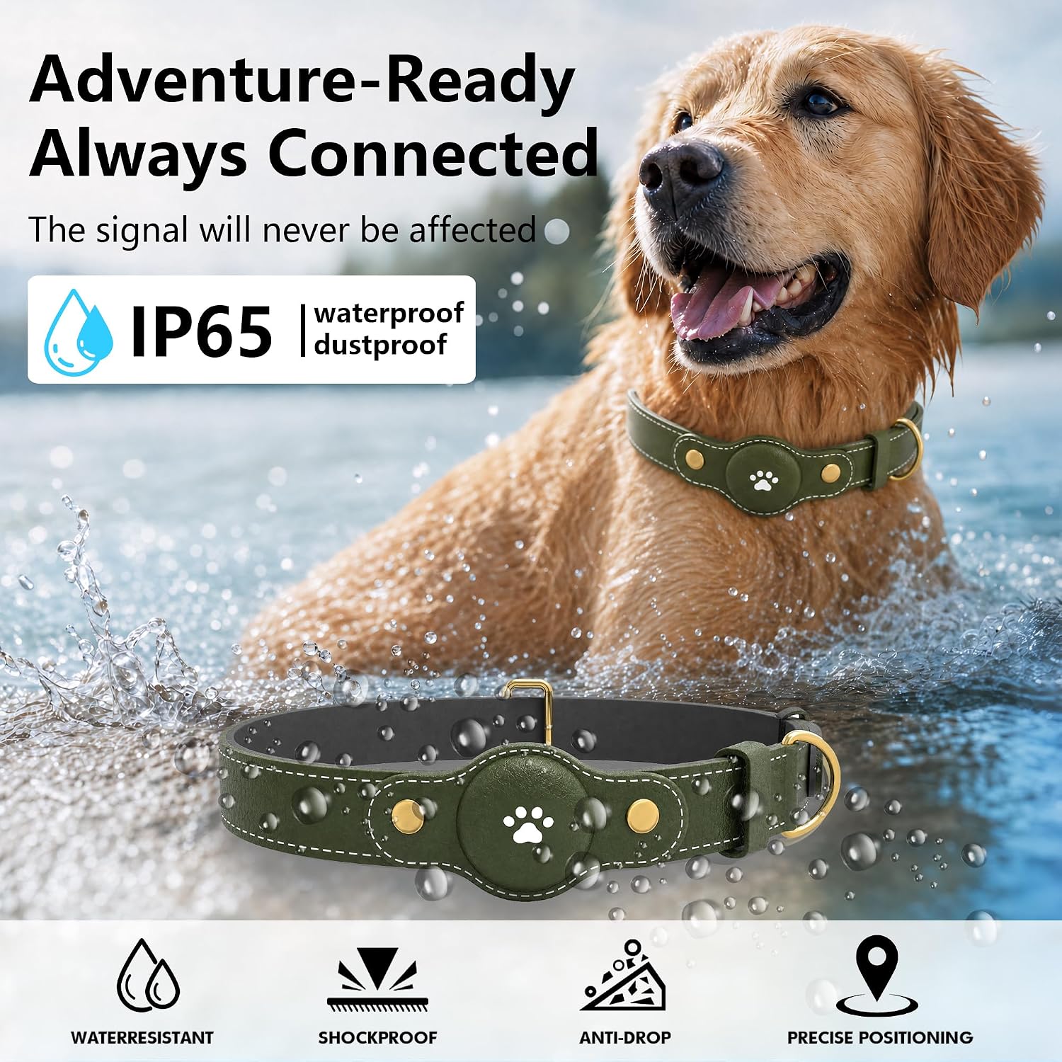 GPS Tracker for Dogs – Smart Dog Collar & Pet Tracker with Real-Time Location, No Monthly Fee, Unlimited Range (iOS & Android) – Fits Small to Large Dogs(Locator Included) (Deep Green) - Image 2
