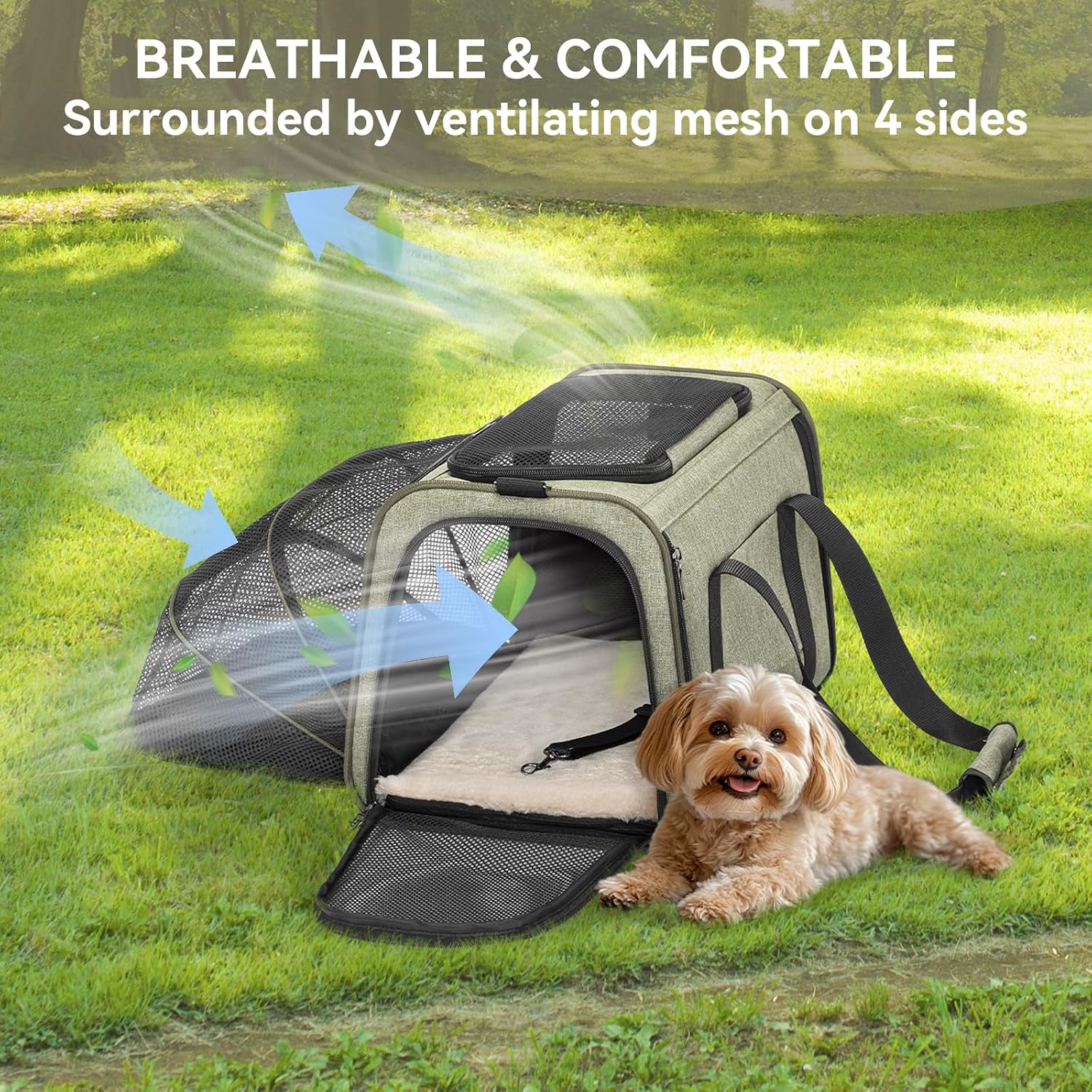 Petsfit Medium Expandable Cat Carrier for Air Travel, Up to 13 lb - Image 8