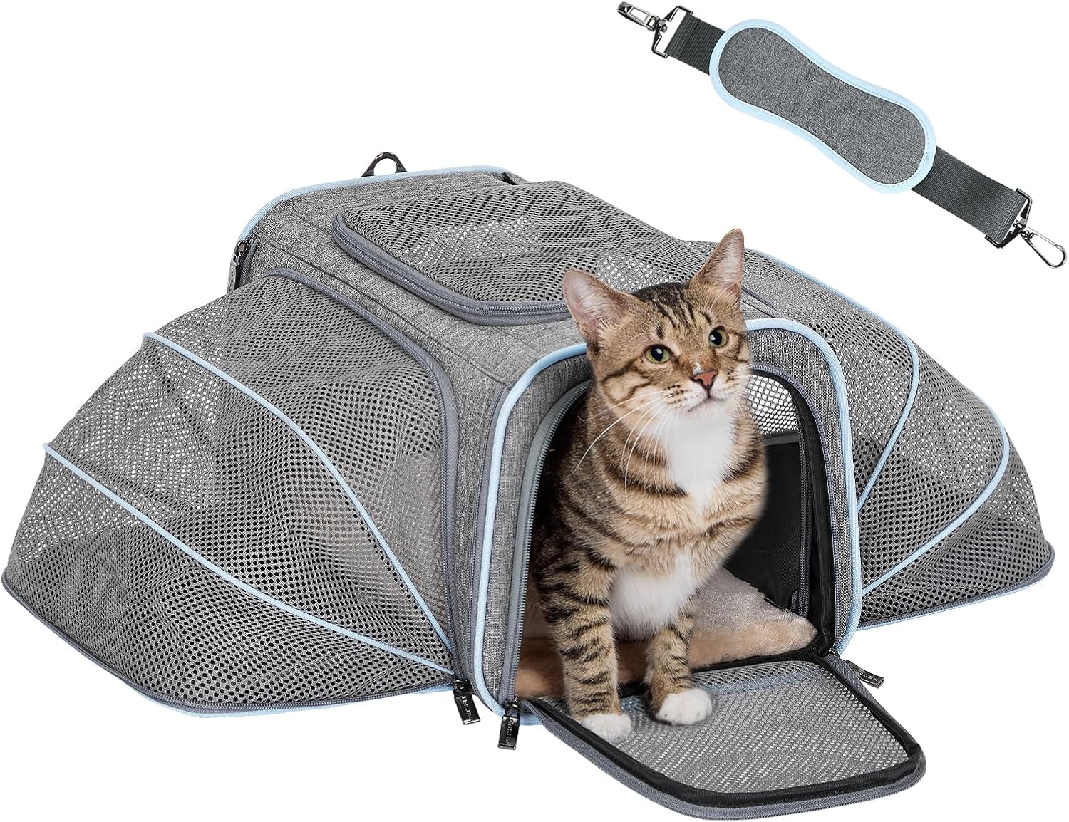 Petsfit Small Double Expandable Cat Carrier for Kittens and Air Travel