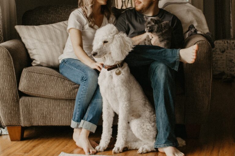 How to Help Your Pet Stay Comfortable While You Are Away From Home